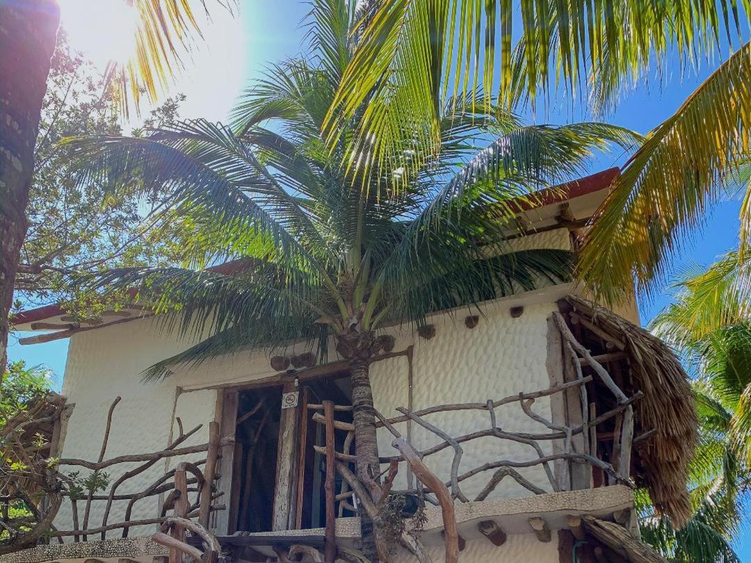 Cabanas Ida Y Vuelta Isla Holbox Exterior foto